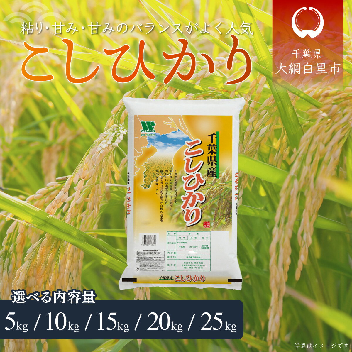 【ふるさと納税】令和6年産 千葉県産「コシヒカリ」選べる 5kg〜20kg（5kg×1袋〜4袋）お米 千葉県産 大網白里市 米 精米 こめ 白米 ご飯 千葉県産米 10kg 15kg 20kg 10キロ 15キロ 20キロ
