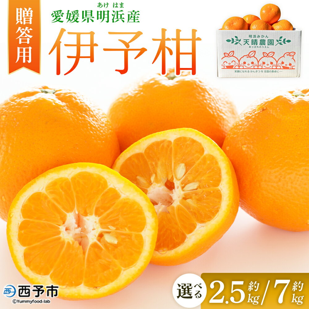 【ふるさと納税】＜伊予柑 贈答用 約2.5kg／7kg＞ 選べる 容量 内容量 ギフト いよかん イヨカン みかん 蜜柑 柑橘 果物 くだもの フルーツ ミカン 愛媛 国産 2.5キロ 7キロ 果汁 ジューシー 明浜 特産品 笑丸 愛媛県 西予市【常温】『2026年1月下旬より順次出荷予定』
