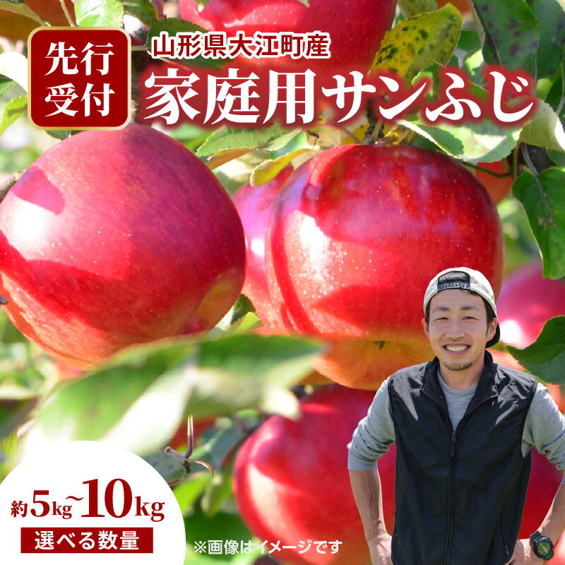 【ふるさと納税】《先行受付》 大江町産 家庭用サンふじ 選べる内容量 （約5kg～10kg 18玉～36玉前後）【2025年11月下旬頃～順次発送予定】 山形県 大江町産 サンふじ りんご 家庭用 選べる内容量 5キロ 18玉前後 10キロ 36玉前後 産地直送 甘い しゃきしゃき 旬の果物