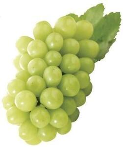 【先行予約】内子町産 シャインマスカット 青秀以上 3～5房 約2kg ★2024年8月下旬から発送★【シャインマスカット 大人気 愛媛県 シャインマスカット 美味しいシャインマスカット 人気 シャイ