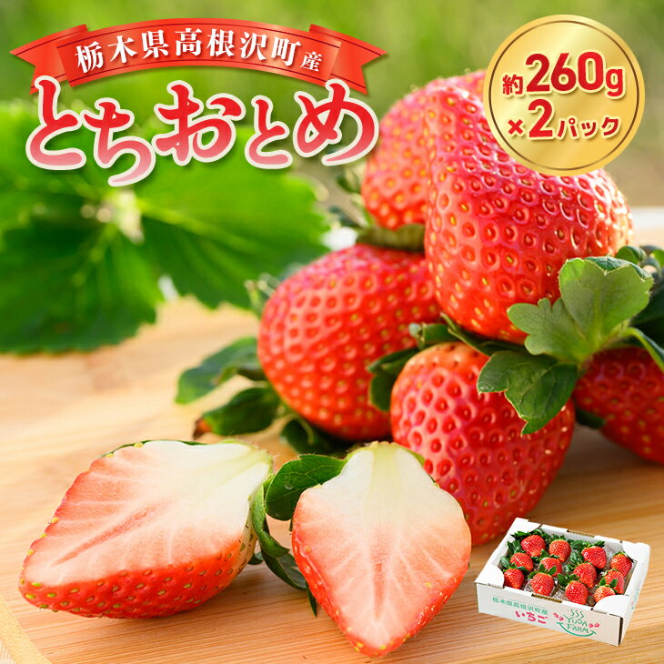 【ふるさと納税】栃木県高根沢町産とちおとめ　260g×2パック◇ ｜ いちご 苺 イチゴ とちおとめ フルーツ スイーツ デザート 人気 完熟 冷蔵 産地直送 特産品 栃木県 高根沢町 ※北海道・沖縄・離島への配送不可 ※2026年1月中旬〜3月下旬頃に順次発送予定