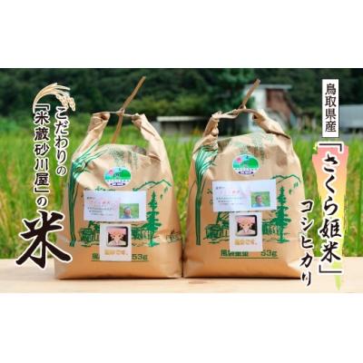 ふるさと納税 鳥取市 【2026年9月下旬〜発送予定】鹿野のさくら姫米 6kg ( 3kg×2袋 )