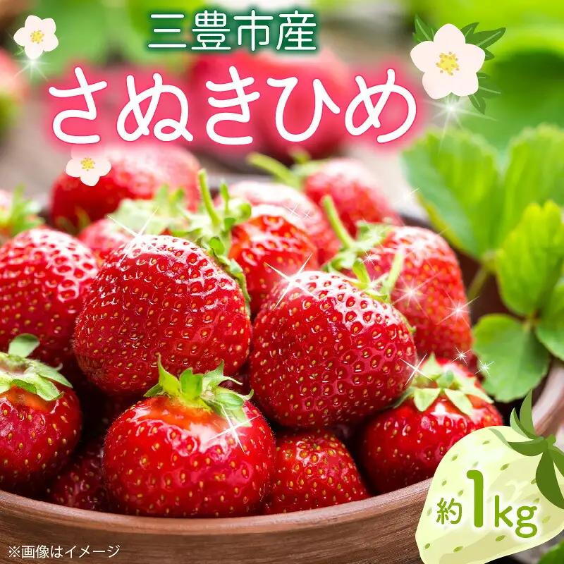 【11月上旬より順次発送】三豊市産 さぬきひめいちご 約1kg