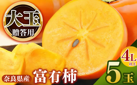 【堀内果実園】《贈答用》富有柿 大玉ギフト 4L以上 5玉 | フルーツ 果物 くだもの 柿 かき カキ 富有柿 奈良県 五條市 贈答 プレゼント