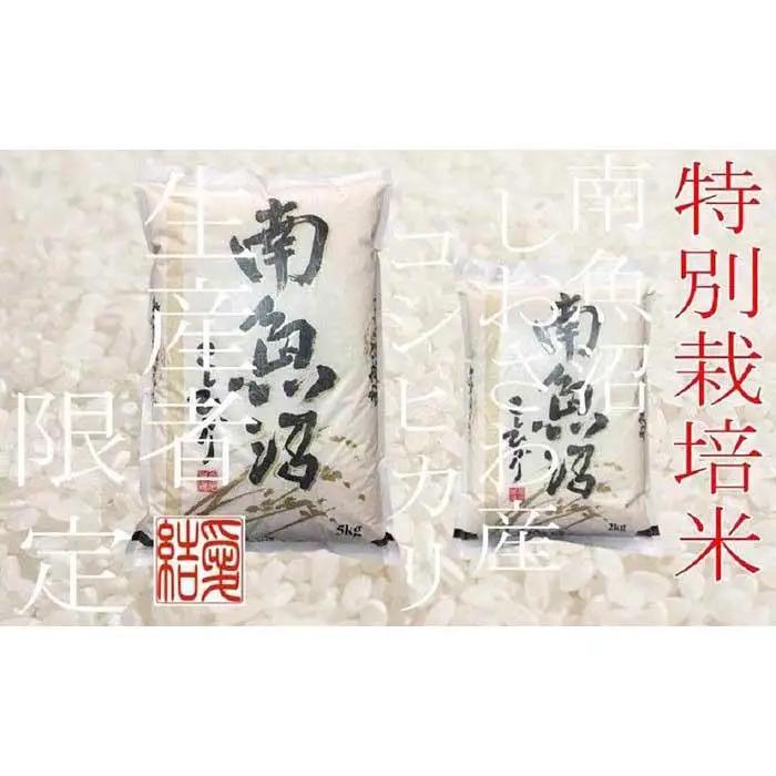 【令和7年産】【定期便10Kg×3ヶ月】【特別栽培米】 契約生産者限定  南魚沼しおざわ産コシヒカリ【定期便 銘柄米 ブランド米 精米 こしひかり コシヒカリ 魚沼産 新潟米 産地直送 お米 米 こめ
