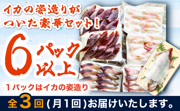 【全3回定期便】対馬 イカ 姿造り と 刺身 の セット 【真心水産】《対馬市》新鮮 海鮮 いか 冷凍 刺身 ケンサキイカ 島魚 海鮮丼 手巻き寿司 [WAK013]