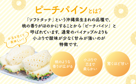 2024年 先行予約 小玉 ピーチパイン 約3.5kg 6~9玉 ★西表島ふる~つらんど★美味しさギュッと! 果物 フルーツ パイン