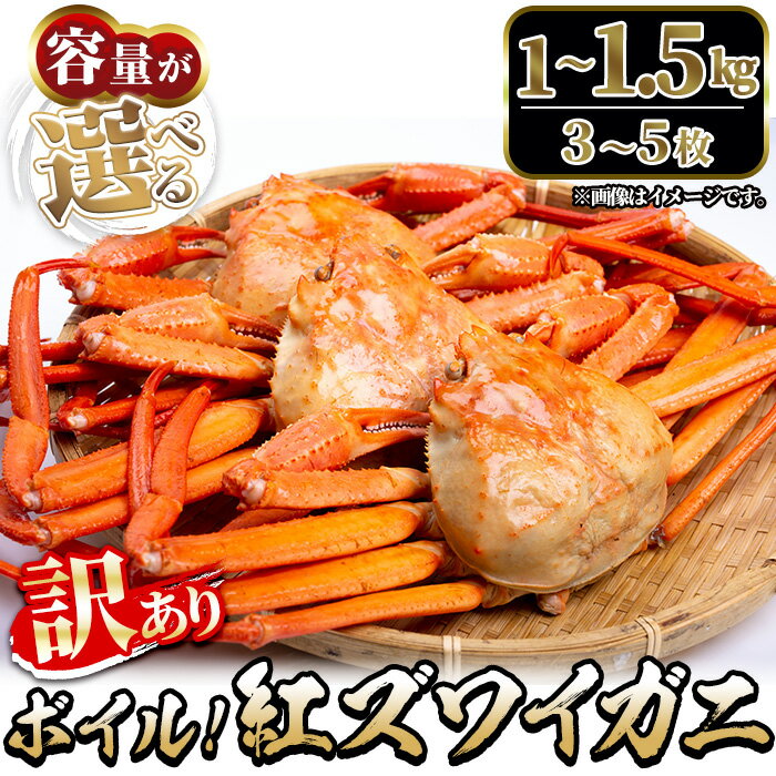 【ふるさと納税】＜6月～9月中旬発送不可＞＜選べる・訳あり＞紅ズワイガニ ボイル(約1～1.5kg) 鳥取 境港産 海鮮 かに カニ 蟹 紅ズワイガニ 紅ずわいがに ずわいがに ズワイガニ ボイル 海の幸 【sm-DD059】【Workplays】