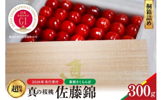 【2026年産　先行予約】真の桜桃 佐藤錦　桐箱詰め300g 山形県 東根市　hi062-050