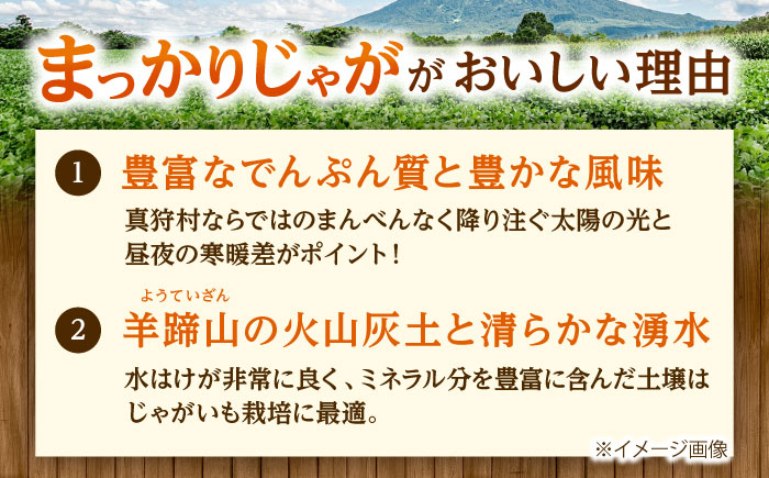 【2026年11月上旬以降順次発送】 じゃがいも キタカムイ（まっかりじゃが）10kg | 野菜 じゃがいも ジャガイモ キタカムイ 北海道 産地直送 | 道の駅 真狩フラワーセンター [BPAM04