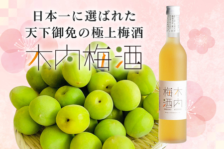 木内梅酒 3本セット 500ml×3本 果実酒 ウメ 人気 お土産 ギフト フルーティー 内祝い ご褒美 国産 紀州南高梅使用 お歳暮 お歳暮ギフト プレゼント お中元 敬老の日 御歳暮 うめ酒 梅酒
