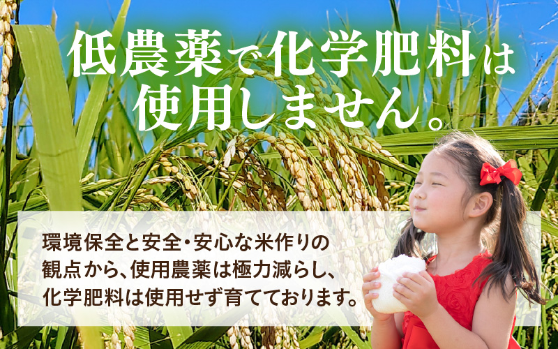 【先行予約】【令和8年産】化学肥料不使用 ふくむすめ精米4kg(真空パック1kg×4袋) ※2026年9月下旬以降発送予定 [aw010-a051]