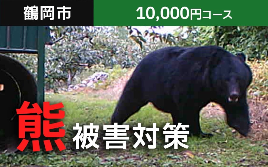 
            【返礼品なし】熊被害対策支援(鶴岡市)　寄附額10,000円コース
          