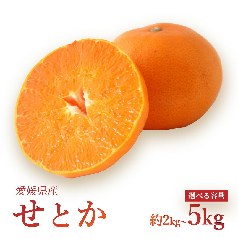 【ふるさと納税】 【2026年3月上旬より発送】 愛媛県 みかん せとか 2kg/5kg | 数量選択可 せとか みかん 蜜柑 柑橘 数量限定 愛媛県産 松山市 中島 低農薬 愛媛県 松山市
