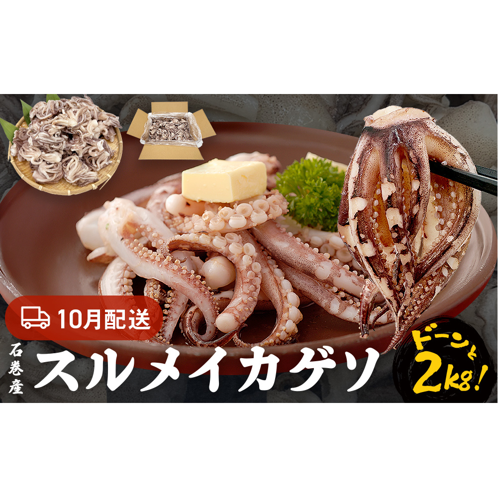訳あり 石巻産スルメイカゲソ 2kg 10月配送 冷凍 国産 いか 下足 おつまみ ゲソ天 焼イカ おかず