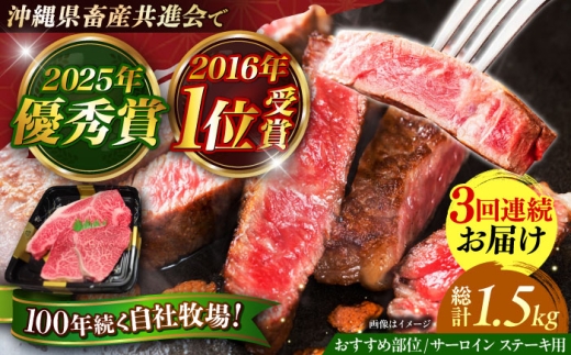 ステーキ サーロイン＆希少部位 佐渡山牛 ステーキ肉 500g 【全3回定期便】 肉のサブロー [BCBC014]牛肉 お肉 肉 にく おにく 和牛 沖縄県産和牛 サーロインステーキ さーろいんすてーき サーロイン ステーキ さーろいん すてーき ステーキ肉 すてーき肉 牛 ウシ うし 黒毛和牛 Steak ビーフ Beef 国産 ブランド 和牛 焼肉 焼き肉 BBQ バーベキュー 沖縄県 沖縄市