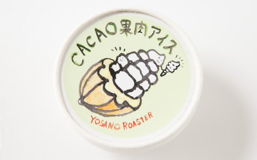 カカオ果肉入りアイス　6個入　バニラアイスと甘酸っぱい果肉が相性バツグンのアイスクリーム【配送不可地域：離島】