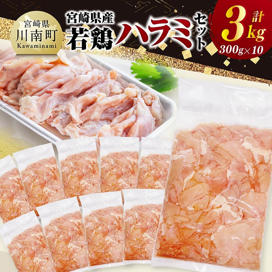【ふるさと納税】※レビューキャンペーン※ 宮崎県産若鶏　ハラミ3kg（300g×10） - 肉 鶏 鶏肉 国産 九州産 宮崎県産 日本 若鶏 若鳥 ハラミ はらみ 小分け こわけ 新鮮 簡単調理 時短 焼鳥 やきとり 炒めもの 焼くだけ 和食 洋食 中華 BBQ 送料無料 宮崎県川南町 C11605