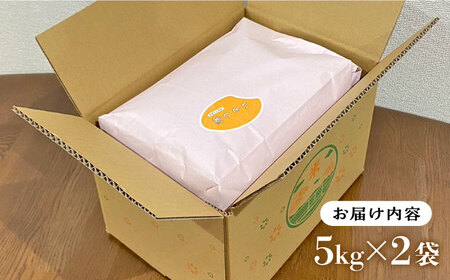 いとし米 厳選ひのひかり10kg (糸島産) 糸島市 / 三島商店[AIM045]