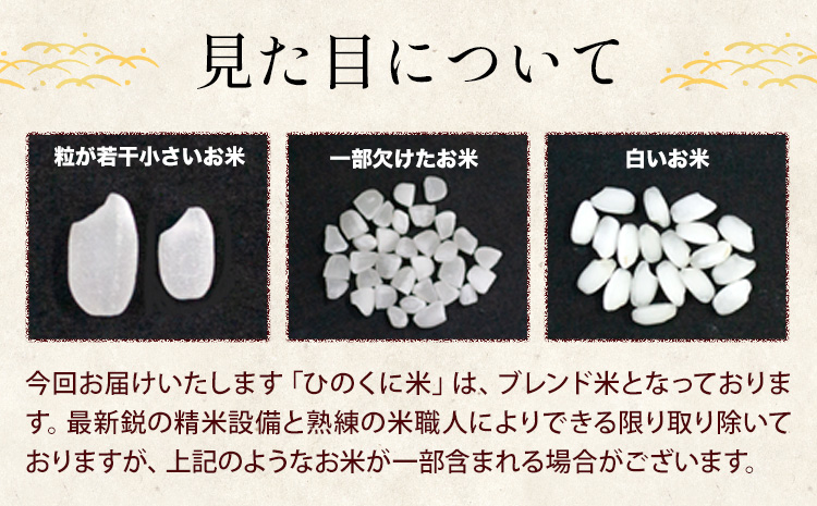 【6ヶ月定期便】ひごみのり 無洗米 熊本県産 ブレンド米 20kg 熊本県産 ふるさと納税  精米 米 こめ ふるさとのうぜい コメ お米 おこめ《申込み翌月から発送》---hkw_hgmtei_26