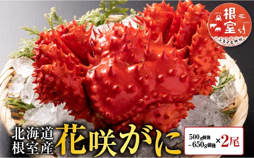 
                  A-30054 【北海道根室産】花咲かに500g前後～650g前後×2尾
                