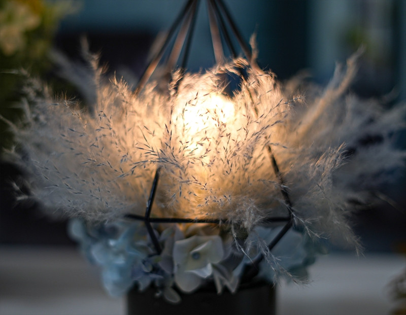 アップで撮影。パンパスの質やわらかな質感。