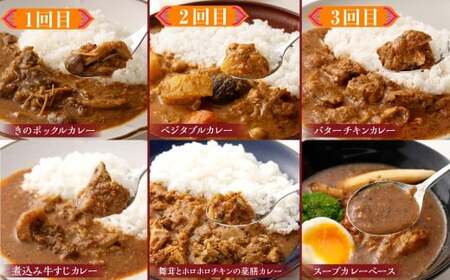 カラダ想いのスパイスカレー（2種4個×5回）毎月【5回定期便】 薬膳ビーフカリー 豚バラジンジャーカリー 薬膳ポークカリー きのこスパイスカレー スープカレーベース バターチキンカレー ベジタブルカレ