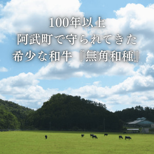 無角和種堪能ツアー 2名様分（見て・触れて・食べる体験）