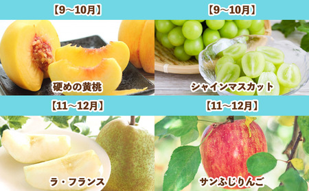 【定期便7回】旬です！YAMAGATA＊FRUIT FY25-285