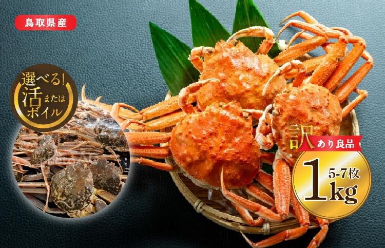 
            【選べる！活またはボイル】鳥取県産 セコガニ 訳あり良品 1kg(5～7枚)※2025/11/6～2025/12/25に順次発送予定※着日指定不可  離島不可（北海道、沖縄本島は配送可能） ｜ 蟹 かに せこがに せこ蟹 訳あり 家庭用 鳥取県産 北栄町 おすすめ 人気
          