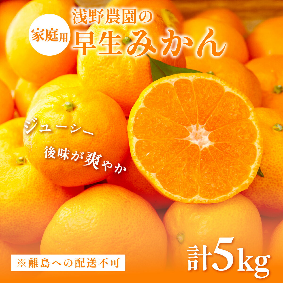 【ふるさと納税】【先行予約】浅野農園の早生みかん 家庭用5kg ※着日指定不可 ※離島への配送不可（2025年11月上旬～11月中旬頃に順次発送予定） 【 ふるさと納税 人気 おすすめ ランキング みかん 柑橘 ミカン オレンジ 家庭用 早生 愛媛県 伊方町 送料無料 】 IKTAC002