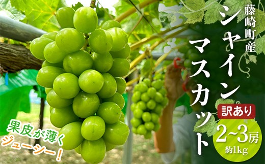 【先行予約】 ≪訳あり≫ シャインマスカット 2～3房 約1kg 《木村隆志 作》 藤崎町産 ぶどう 葡萄 フルーツ 厳選 大粒 高糖度 国産 産地直送 数量限定 F41-0155