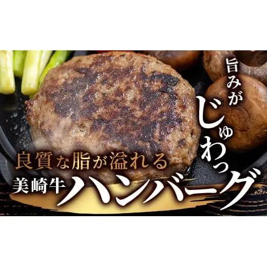 美崎牛ハンバーグ200g×6個　O-5
