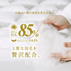 羽毛布団 セミダブルロング 秋冬用 170cm×210cm 2色から選べる