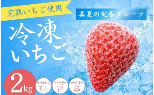 【4～8月発送】【冷凍いちご】 2kg 紅ほっぺ こだわり いちご フローズン 冷凍 イチゴ strawberry 苺 新鮮 朝摘み 朝採り 産直 産地直送 安心安全 ichigo itigo いちご 苺 果物 フルーツ くだもの ギフト プレゼント 贈物 贈答 ケーキ ジャム ふるさと納税 ふるさと納税苺 いちご 静岡県 南伊豆町 南伊豆ファーム  <BD-2>