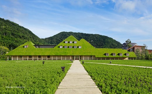 【クラブハリエ】【限定】近江八幡バームクーヘンｍｉｎ