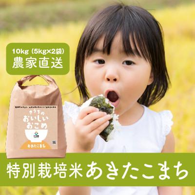 ふるさと納税 稲敷市 【令和6年産・自家栽培・自家精米・農家直送】特別栽培米稲敷市産あきたこまち 10kg(5kg×2袋)