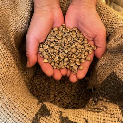 ふるさと納税 高石市 【2ヵ月毎定期便】《豆3種計300g》ネコグラ珈琲焙煎所の煎りたて挽きたてコーヒーセット全6回 |  | 02