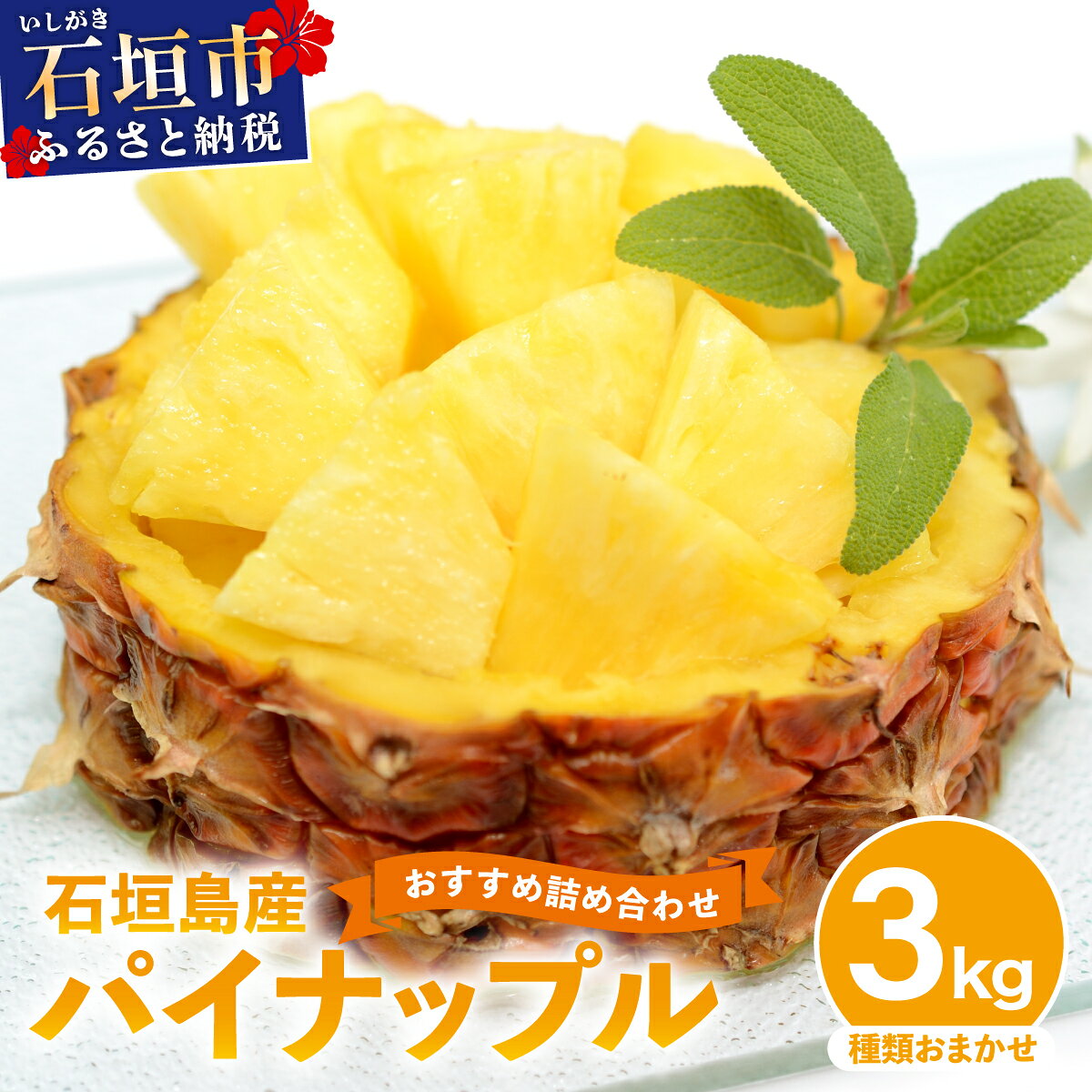 【ふるさと納税】石垣島産 パイナップル 約3kg 2〜6個 ＜先行予約＞《2027年5月から順次発送》 | ふるさと納税 パイナップル パイン フルーツ 果物 果実 南国フルーツ 沖縄県石垣市 沖縄県 石垣市 石垣島 産地直送 ふるさと 人気 送料無料 コッパリ