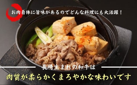 長崎和牛　切落し800g【C0-022】 牛肉 長崎和牛 モモ肉 バラ肉 切落し 野菜炒め 400g×2パック