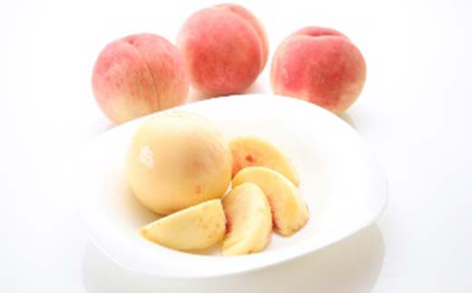 《2026年先行予約》山形県産 大人気！ 夏の収穫 白桃 約3kg（7～12玉） 桃 もも フルーツ くだもの 山形県 中山町 F4A-0424