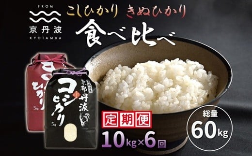 【6カ月定期便】 京丹波こしひかり きぬひかり 食べ比べ セット 10kg×6カ月連続 合計60kg 令和7年産 京都 米 精米 コシヒカリ ※北海道・東北・沖縄は配送不可 [090MB004R]