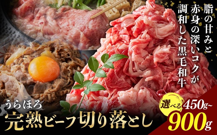 
                  黒毛和牛 うらほろ完熟ビーフ 切り落とし 選べる 内容量 450g 900g 一般社団法人十勝うらほろ樂舎 《2026年2月出荷開始 30日以内に出荷予定(土日祝除く)》 北海道 浦幌町 黒毛和牛 国産牛 うらほろ完熟ビーフ 切り落とし肉 うらほろ完熟ビーフ 十勝 浦幌和牛 熟成
                
