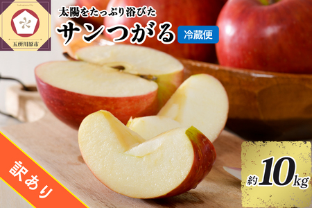 訳あり りんご 10kg 9月 サンつがる 青森 【2025年 リンゴ 林檎 果物 クール便】