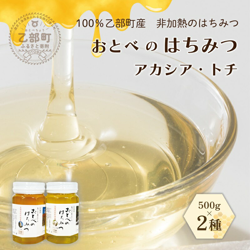【ふるさと納税】 ＜おとべのはちみつ　アカシア・トチ500g×各1本＞北海道 道産 国産 乙部町産 魚つきの森からの恵みトチ蜜 天然蜂蜜 北海道産 蜂蜜 はちみつ ハチミツ 天然 非加熱 国産蜂蜜 100％ はちみつ 常備食 美容 健康