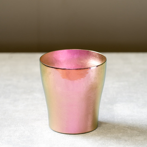 チタン二重タンブラー 玲 華チタン (桜) 250ml