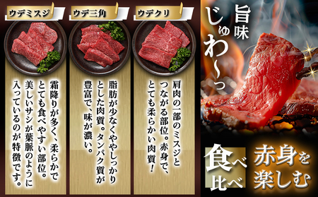 【お歳暮】宮崎牛赤身6種600g≪11月17日～12月21日お届け≫_16-2601-WG_(都城市) 牛肉 赤身 希少部位 食べ比べ 焼き肉 焼肉 BBQ ウデミスジ ウデ三角 ウデクリ とうがらし