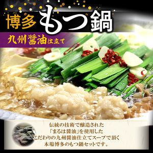【博多鍋セット2】博多の人気2大鍋のセット「九州醤油もつ鍋」と「博多水炊き(切り身)」4～6人前 KBC1206