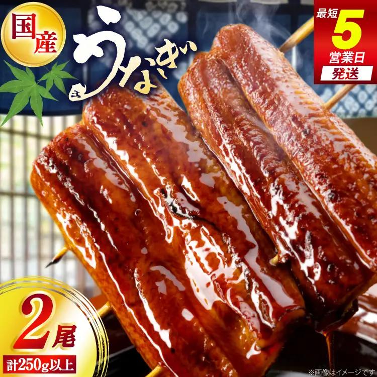 うなぎ 国産 日向うなぎ 蒲焼 中 2尾 計250g以上 [452061714]