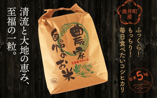 ≪令和7年産≫【新米】【垂井町産】ふっくら！もっちり！毎日食べたいコシヒカリ 白米 5kg｜岐阜県産 垂井米 こしひかり お米 米 こめ コメ 白米 精米 ご飯 ライス 産地直送 ギフト 贈答用 プレゼント